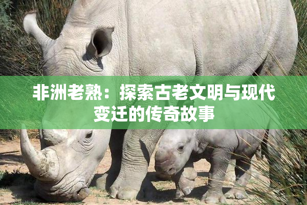 非洲老熟：探索古老文明与现代变迁的传奇故事