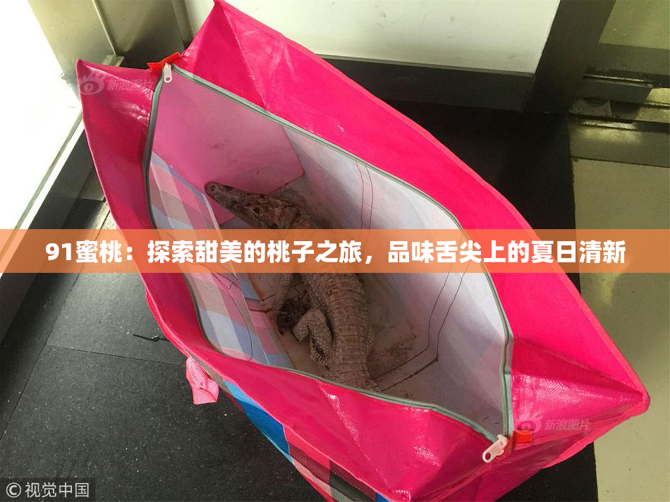 91蜜桃：探索甜美的桃子之旅，品味舌尖上的夏日清新