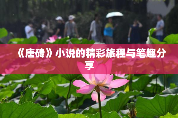 《唐砖》小说的精彩旅程与笔趣分享