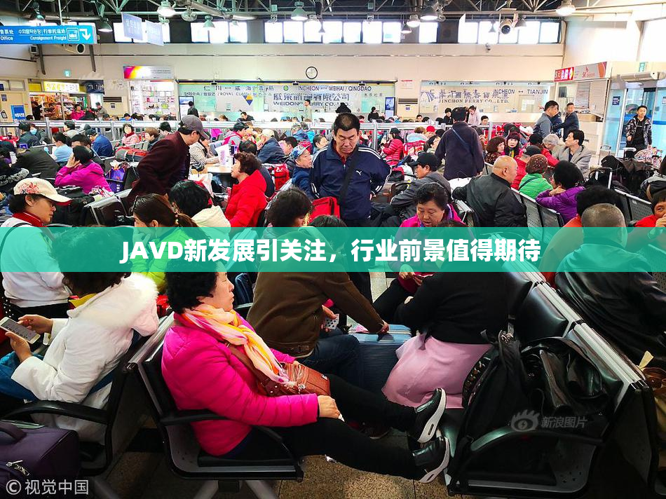 JAVD新发展引关注，行业前景值得期待