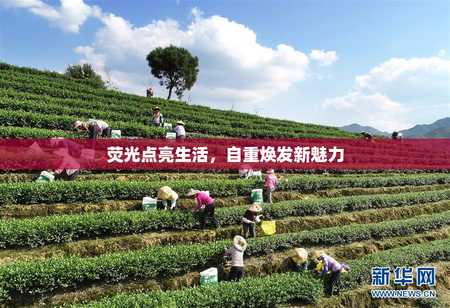 荧光点亮生活，自重焕发新魅力