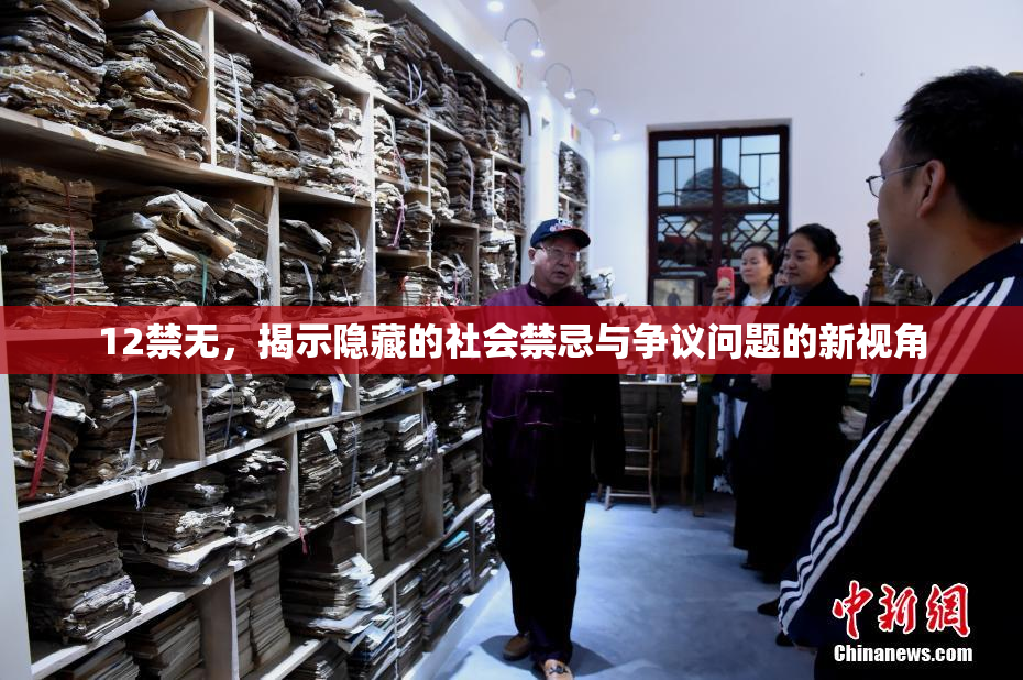 12禁无，揭示隐藏的社会禁忌与争议问题的新视角