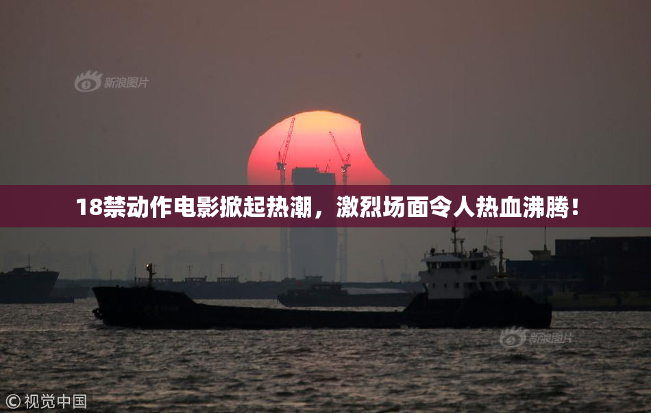 18禁动作电影掀起热潮，激烈场面令人热血沸腾！