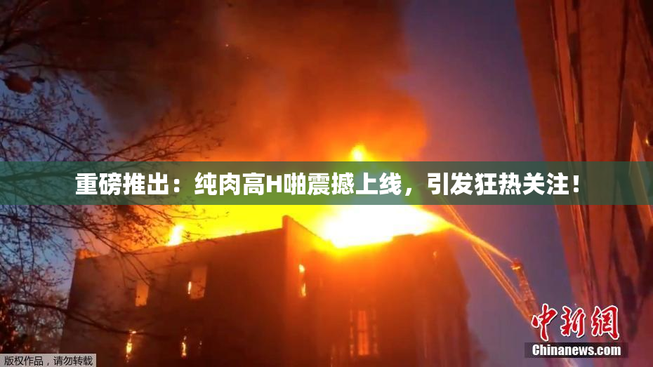重磅推出：纯肉高H啪震撼上线，引发狂热关注！