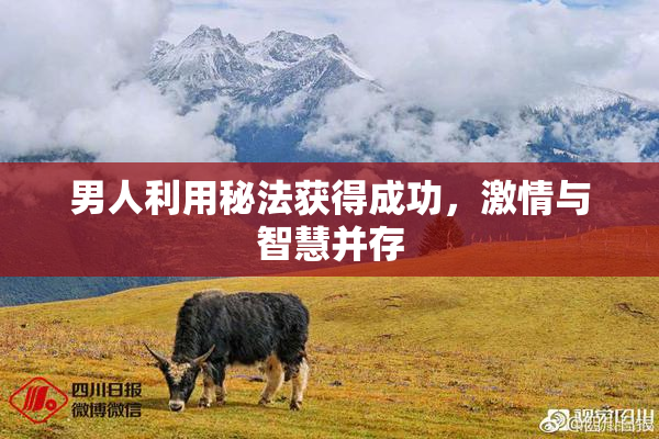 男人利用秘法获得成功，激情与智慧并存