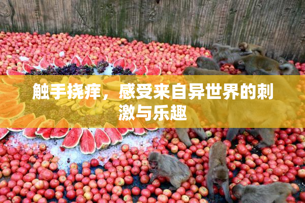 触手挠痒，感受来自异世界的刺激与乐趣