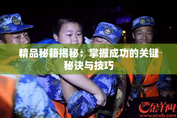 精品秘籍揭秘：掌握成功的关键秘诀与技巧