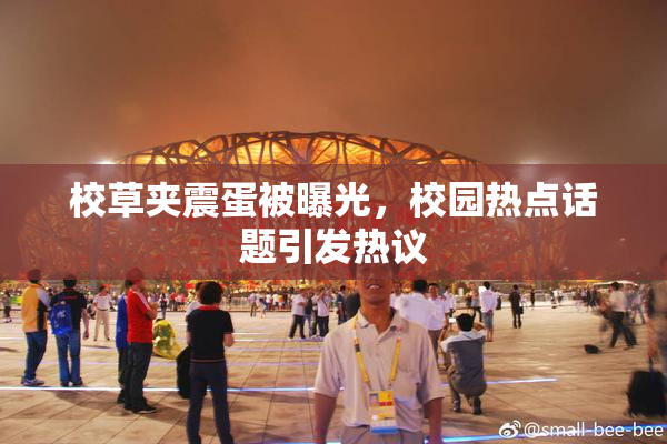校草夹震蛋被曝光，校园热点话题引发热议