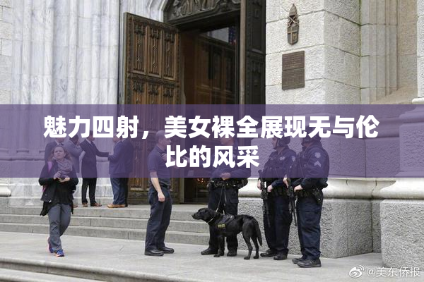 魅力四射，美女裸全展现无与伦比的风采