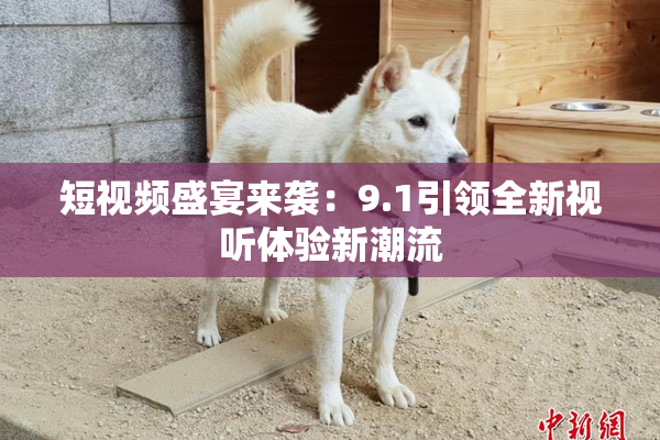 短视频盛宴来袭：9.1引领全新视听体验新潮流