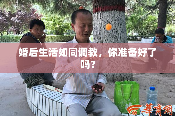 婚后生活如同调教，你准备好了吗？