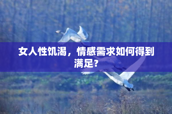 女人性饥渴，情感需求如何得到满足？