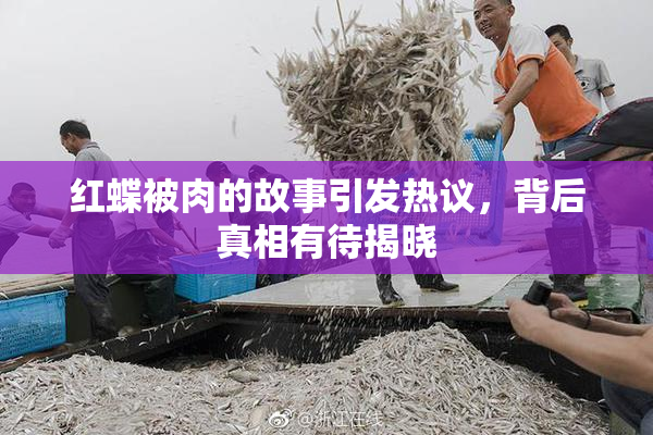 红蝶被肉的故事引发热议，背后真相有待揭晓