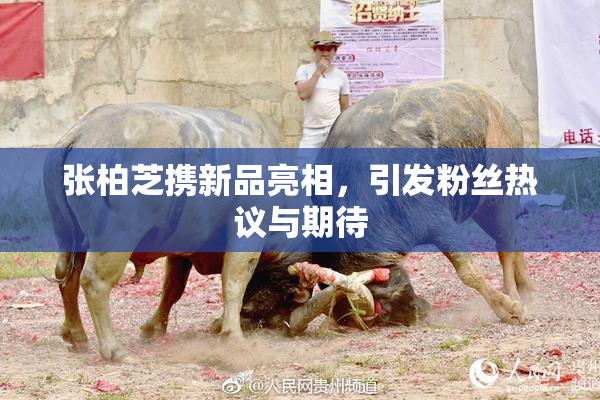 张柏芝携新品亮相，引发粉丝热议与期待
