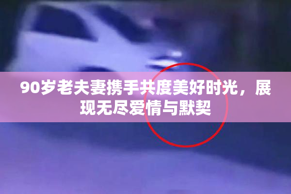 90岁老夫妻携手共度美好时光，展现无尽爱情与默契