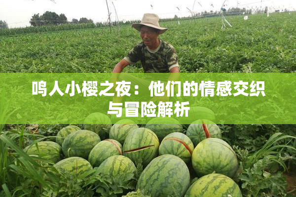 鸣人小樱之夜：他们的情感交织与冒险解析