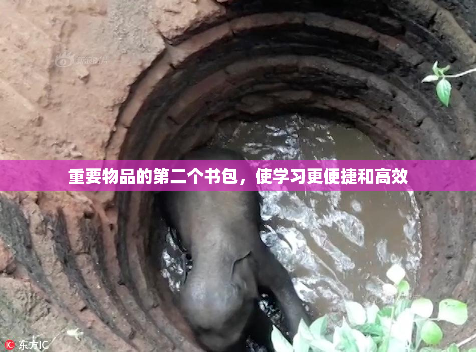 重要物品的第二个书包，使学习更便捷和高效