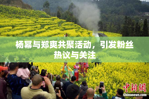 杨幂与郑爽共聚活动，引发粉丝热议与关注