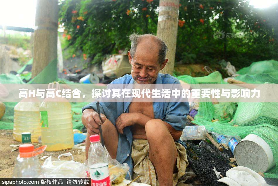 高H与高C结合，探讨其在现代生活中的重要性与影响力