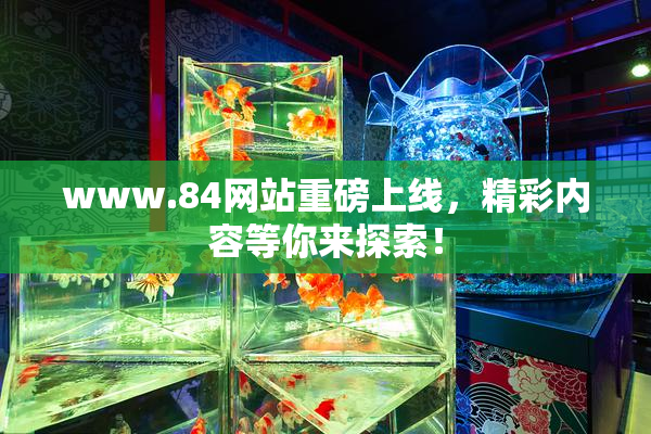 www.84网站重磅上线，精彩内容等你来探索！