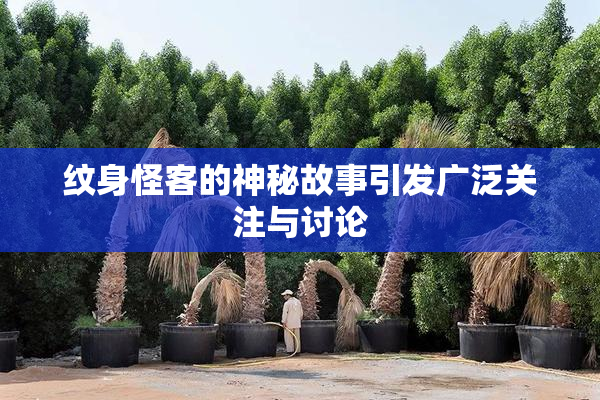 纹身怪客的神秘故事引发广泛关注与讨论