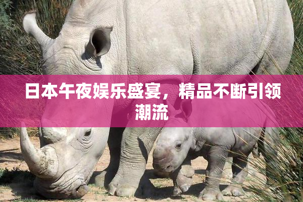 日本午夜娱乐盛宴，精品不断引领潮流