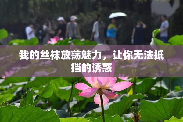 我的丝袜放荡魅力，让你无法抵挡的诱惑