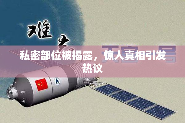 私密部位被揭露，惊人真相引发热议