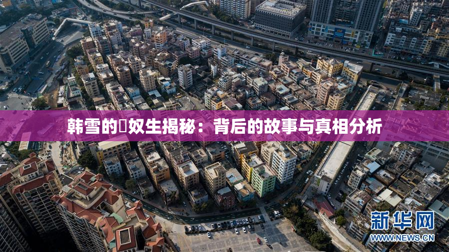 韩雪的婬奴生揭秘：背后的故事与真相分析
