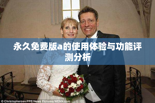 永久免费版a的使用体验与功能评测分析