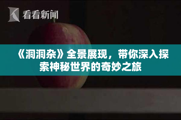 《洞洞杂》全景展现，带你深入探索神秘世界的奇妙之旅