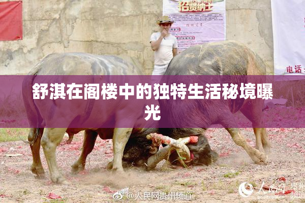 舒淇在阁楼中的独特生活秘境曝光