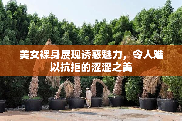美女裸身展现诱惑魅力，令人难以抗拒的涩涩之美