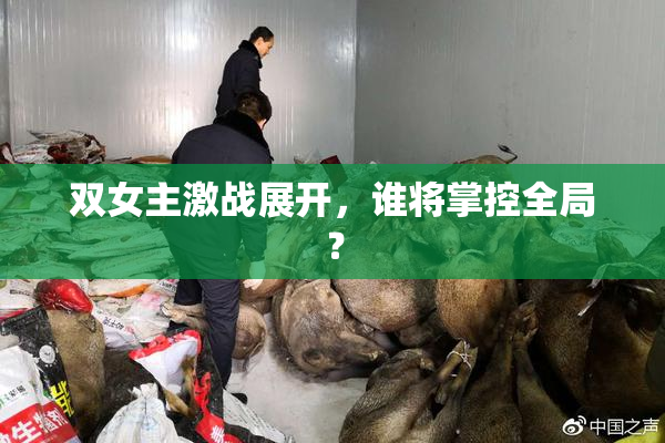 双女主激战展开，谁将掌控全局？