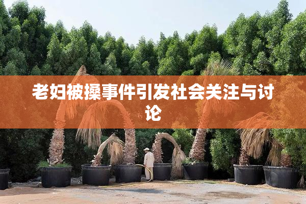 老妇被搡事件引发社会关注与讨论