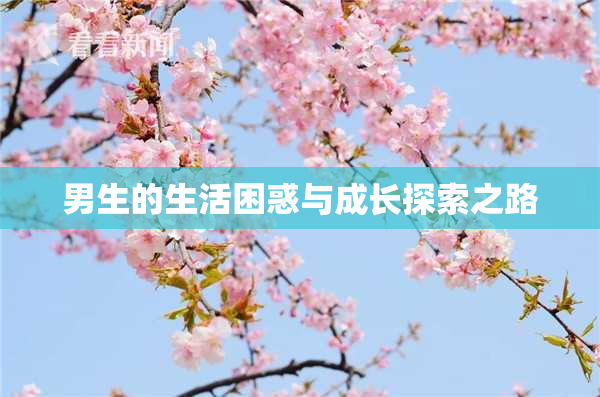 男生的生活困惑与成长探索之路