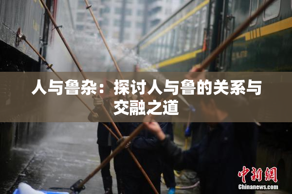 人与鲁杂：探讨人与鲁的关系与交融之道
