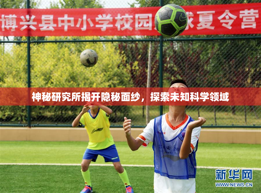 神秘研究所揭开隐秘面纱，探索未知科学领域