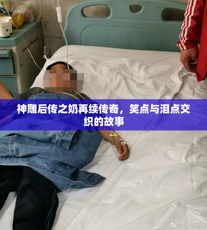 神雕后传之奶再续传奇，笑点与泪点交织的故事
