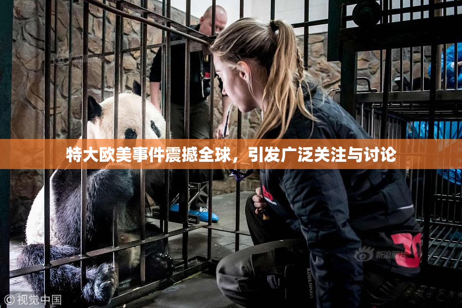 特大欧美事件震撼全球，引发广泛关注与讨论