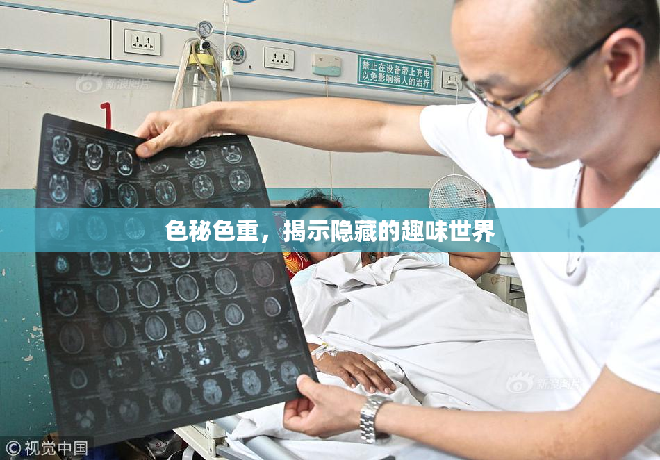 色秘色重，揭示隐藏的趣味世界