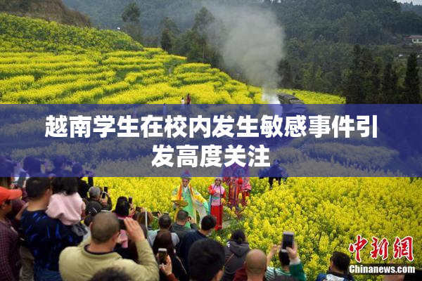 越南学生在校内发生敏感事件引发高度关注