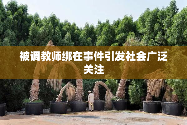 被调教师绑在事件引发社会广泛关注