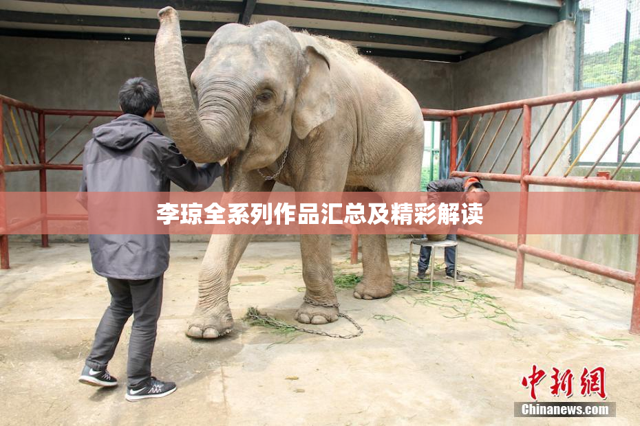 李琼全系列作品汇总及精彩解读