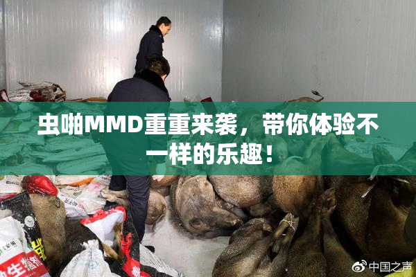 虫啪MMD重重来袭，带你体验不一样的乐趣！