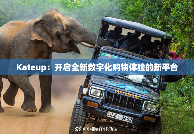 Kateup：开启全新数字化购物体验的新平台