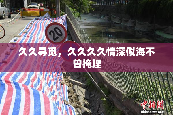久久寻觅，久久久久情深似海不曾掩埋
