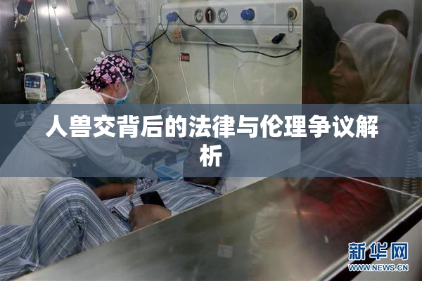 人兽交背后的法律与伦理争议解析