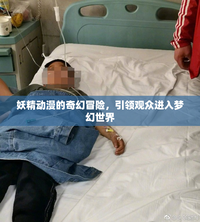 妖精动漫的奇幻冒险，引领观众进入梦幻世界