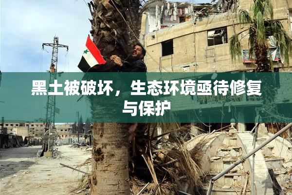 黑土被破坏，生态环境亟待修复与保护